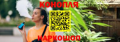 молекула духа Партизанск