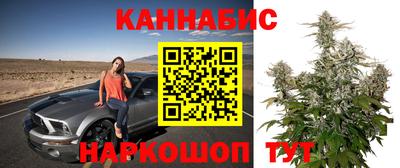 молекула духа Партизанск