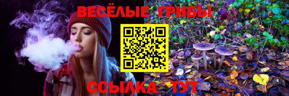 Галлюциногенные грибы Magic Shrooms Ишим