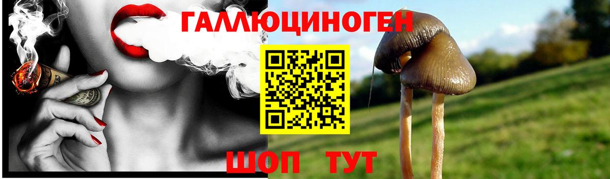 Псилоцибиновые грибы GOLDEN TEACHER  Вход с VPN  Галлюциногенные грибы MAGIC MUSHROOMS  Ишим 